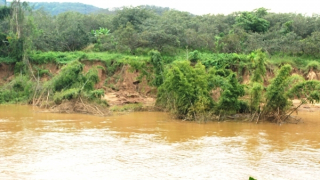 Sông Đồng Nai sạt lở hơn 3km