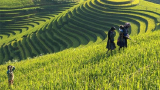 Nghệ thuật đưa địa danh vào thơ