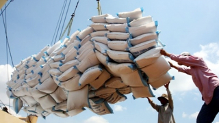 Nhiều tín hiệu mở ra với xuất khẩu gạo nửa cuối năm 2022