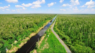 “Ngân hàng Carbon Thế giới” là gì?