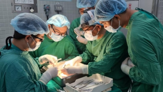 Xây dựng mạng lưới điều phối liên viện về hiến và ghép thận nhân đạo