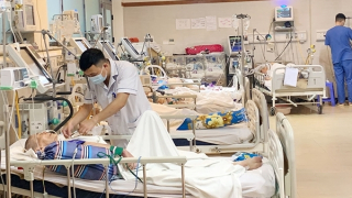 Nhiều người đột quỵ, viêm phổi vì nắng nóng