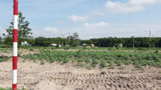 Nỗi đau tấc đất tấc vàng