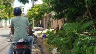 Lời khai của nghi phạm sát hại chủ biệt thự ở Bình Tân