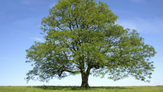 Với người trẻ, văn chương là cuộc dạo chơi?