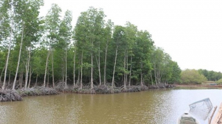 Bảo vệ rừng theo hướng bảo tồn đa dạng sinh học kết hợp du lịch sinh thái