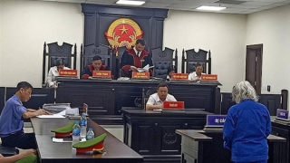 Chiếm đoạt gần 28 tỷ đồng, cựu Chủ tịch Công ty Kiến trúc lĩnh án chung thân