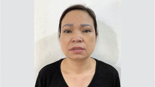 Bắt khẩn cấp “tú bà" quen đường cũ