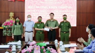 Những người đi săn “sói trắng”