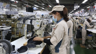 Kinh tế Việt Nam phục hồi mạnh mẽ