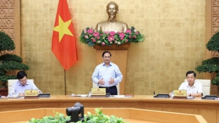 Phấn đấu tăng trưởng kinh tế năm 2022 đạt 7%, vượt mục tiêu được giao