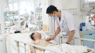 5 người nhập viện vì nhậu ấu trùng ve sầu