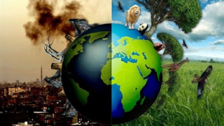 Không thể nhân danh “hoạt động vì môi trường” để vi phạm pháp luật