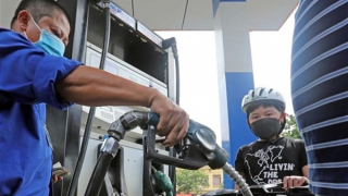 Uỷ ban Thường vụ Quốc hội sẽ xem xét giảm thuế môi trường với xăng dầu