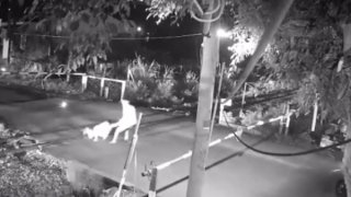 Biểu dương nhân viên đường sắt cứu người bị ngã trước lúc tàu hỏa băng tới