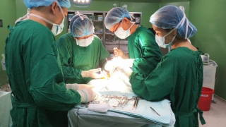 Mổ dị tật tim bẩm sinh cứu sống bé trai 6 tháng tuổi