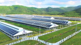 ESG – Xu hướng thế giới và sự “nhận diện” của nhà đầu tư Việt