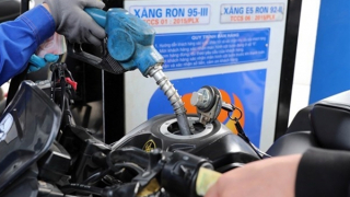 Triển khai ngay Nghị quyết của Ủy ban Thường vụ Quốc hội về mức thuế bảo vệ môi trường đối với xăng, dầu