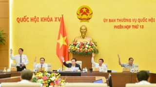 Chuyển hơn 4.400 ha rừng, đất rừng, đất trồng lúa xây dựng cao tốc Bắc - Nam phía Đông