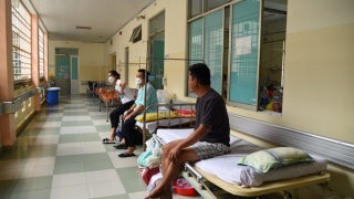 Thêm 2 ca tử vong do sốt xuất huyết ở TP Hồ Chí Minh