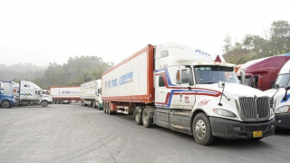 Tổng kim ngạch xuất nhập khẩu qua Lạng Sơn giảm 38,8%