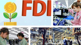 Việt Nam vững vàng phục hồi giữa thách thức