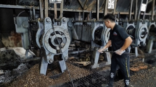 Kiếm tiền tỉ từ vỏ hạt điều