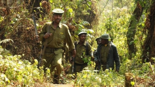 Kahuzi-Biega: Từ thiên đường thành địa ngục trần gian