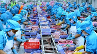 Ngành thủy sản được khơi thông