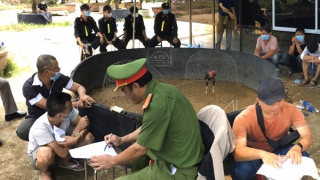 Triệt xóa các tụ điểm đánh bạc dưới hình thức đá gà