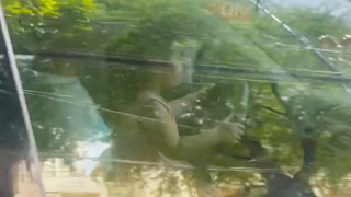 Bé gái 4 tuổi ôm vô lăng điều khiển xe trên đường