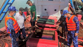 Bắt giữ nhiều vụ vận chuyển dầu DO trái phép