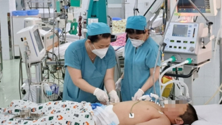 Có một cuộc chiến với sốt xuất huyết