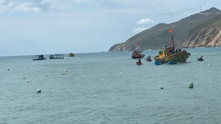 Tàu cá bị chìm ở Bình Định, 4 ngư dân được cứu sống