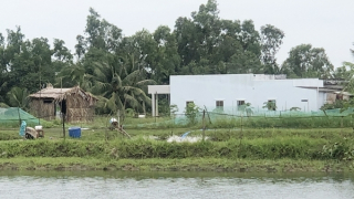 Một phụ nữ ở Bạc Liêu bị quạt tạo oxy cuốn tử vong