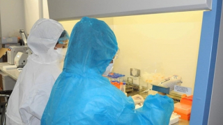 F0 tiếp tục tăng, phát hiện biến thể phụ BA.2.12.1