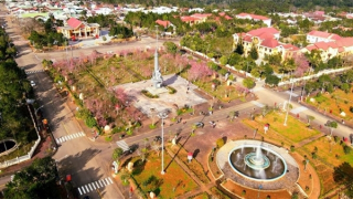 Chậm tiến độ 27 tháng, gần 19ha đất dự án tại Măng Đen bị đề xuất thu hồi