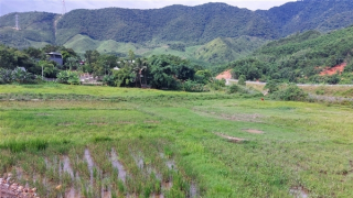 Lãng phí từ việc hàng trăm hécta đất nông nghiệp bị bỏ hoang