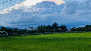 Đang cắt cỏ, bị sét đánh tử vong