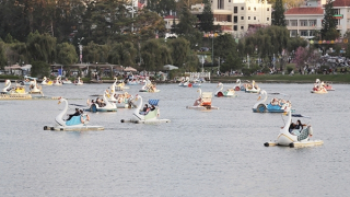 Đà Lạt tạm ngừng hoạt động bến thuyền hồ Xuân Hương để hoàn thiện thủ tục