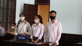 Nhiều người lãnh án do lập khống hàng chục hợp đồng dạy nghề