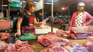 Vì sao giá thịt lợn tăng cao?