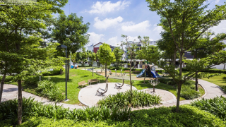 Đi tìm giải pháp kiến tạo không gian sống xanh trong đô thị