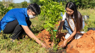 “Triệu cây xanh cho cuộc sống bừng sáng” - từ hành động nhỏ tới mục tiêu phát triển bền vững