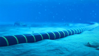 Lại đứt cáp quang biển APG