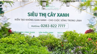 Phát triển bền vững hướng đến kinh tế xanh