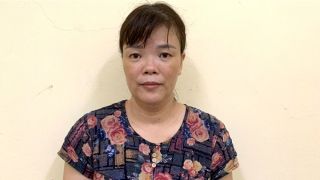 Cặp với "phi công" để cùng nhau trộm tài sản của người nước ngoài