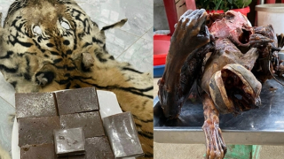 Những rủi ro pháp lý lớn quanh nồi cao hổ