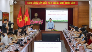 Rà soát các bất cập trong tổ chức thi hoa hậu