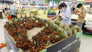 Tăng cường kiểm tra, giám sát chặt chẽ giá cả hàng hoá